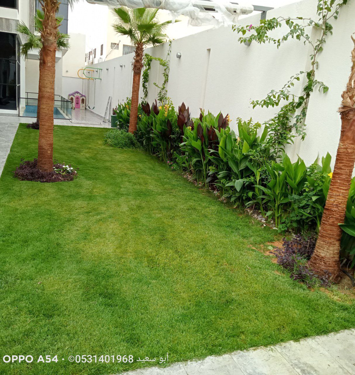 photo_2024-08-26_22-44-31